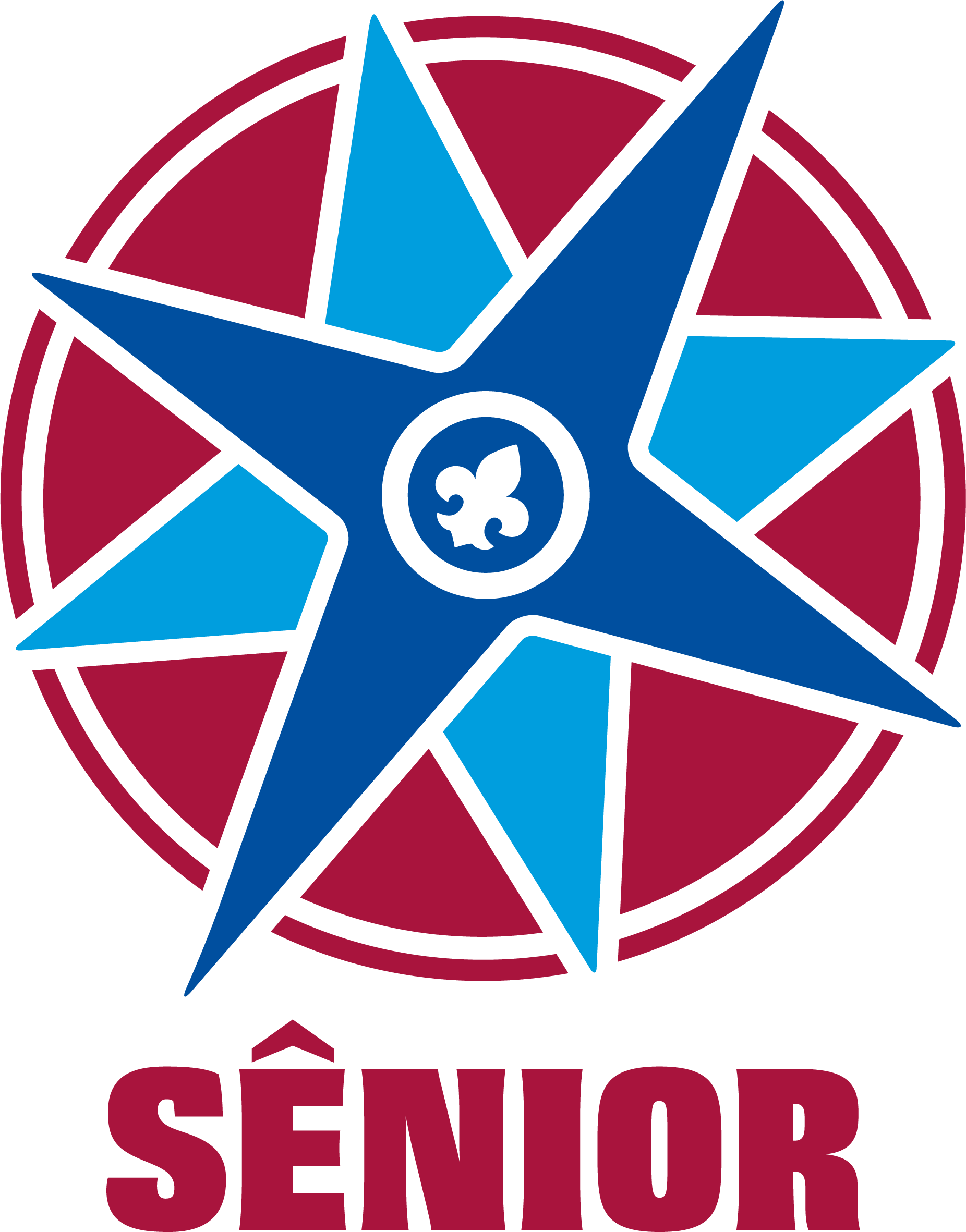 Logo Ramo Sênior